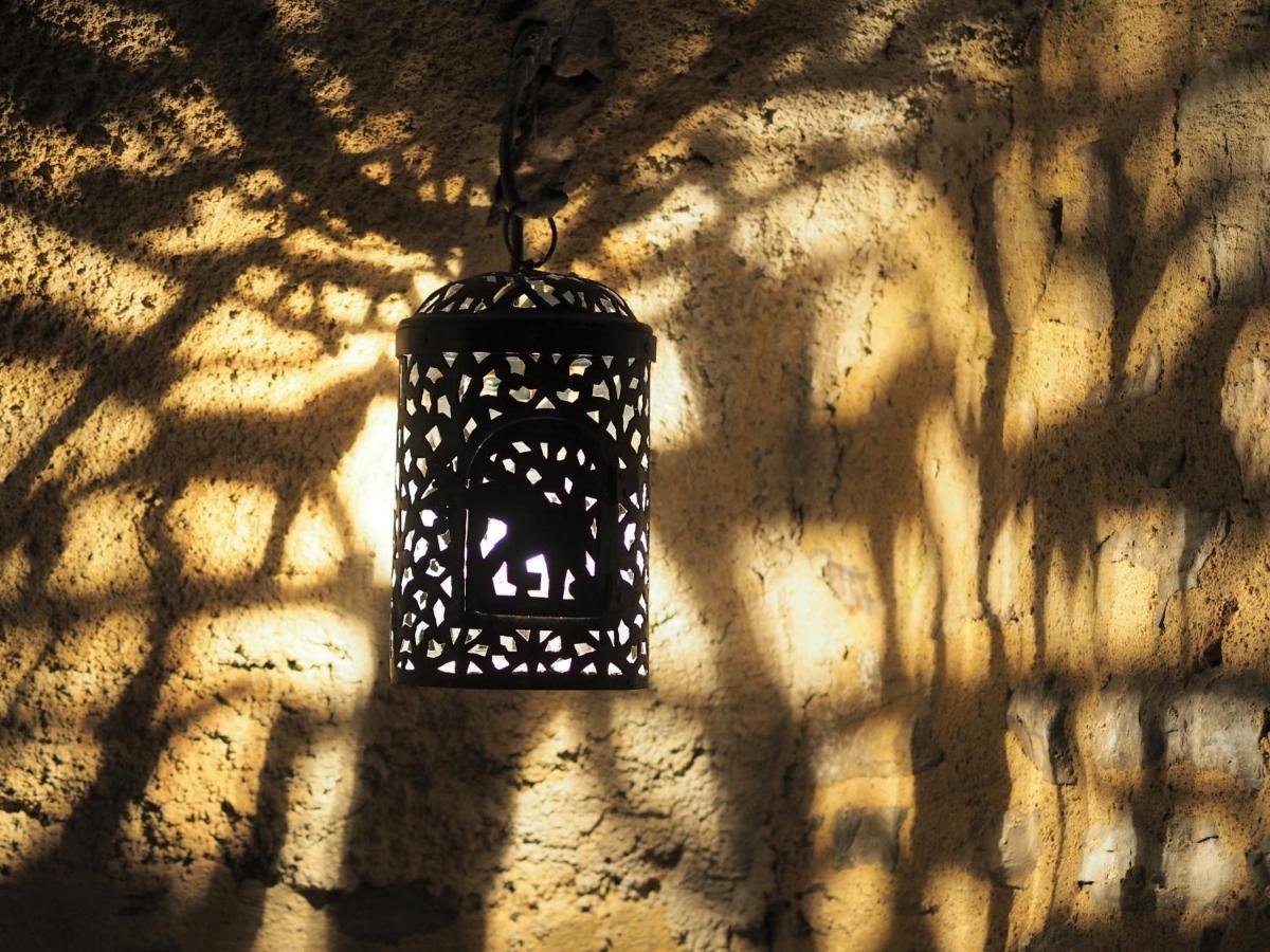 Chambres d'Hôtes Le Secret du Chat Cordes-sur-Ciel Exterior foto